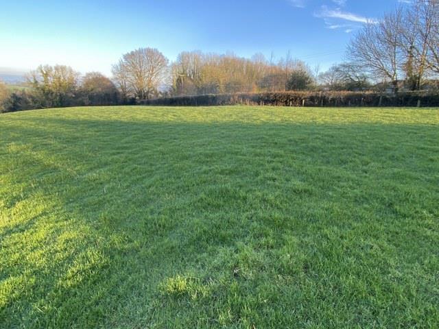 Field