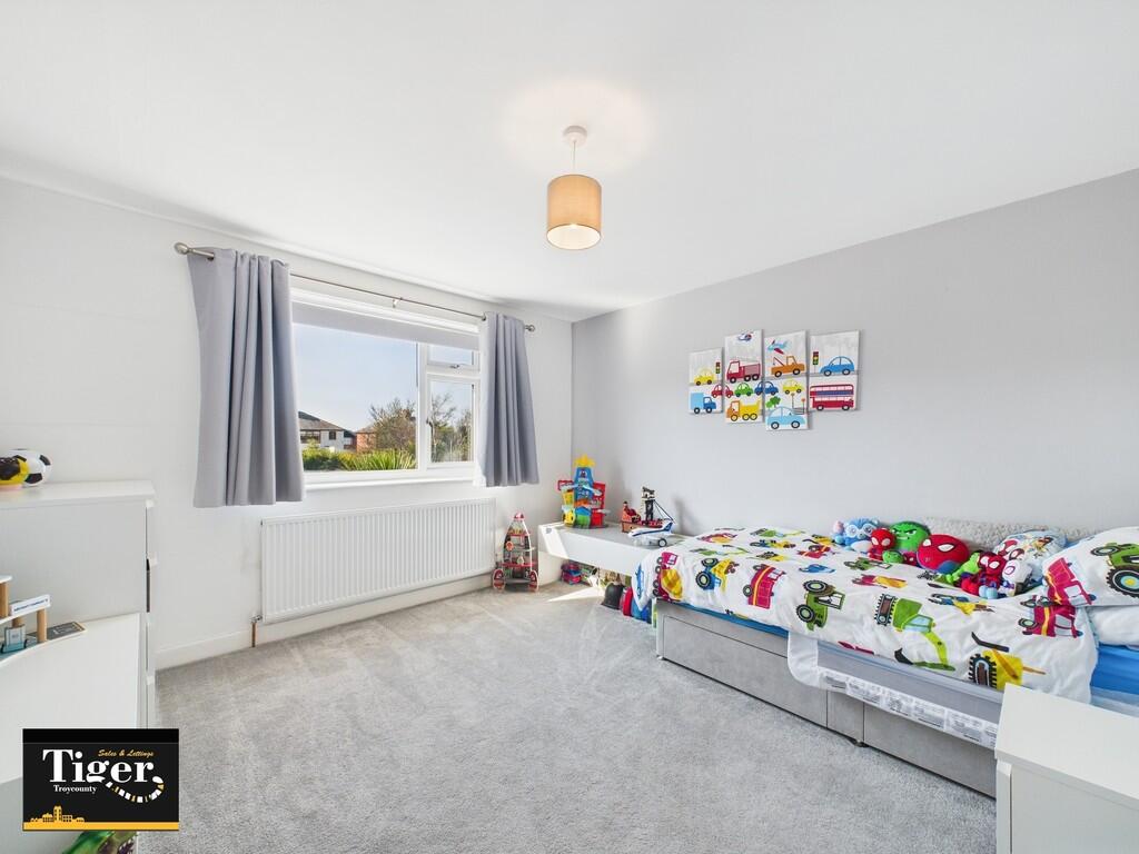 CAM02176G0-PR0523...