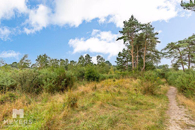 Heathlands 
