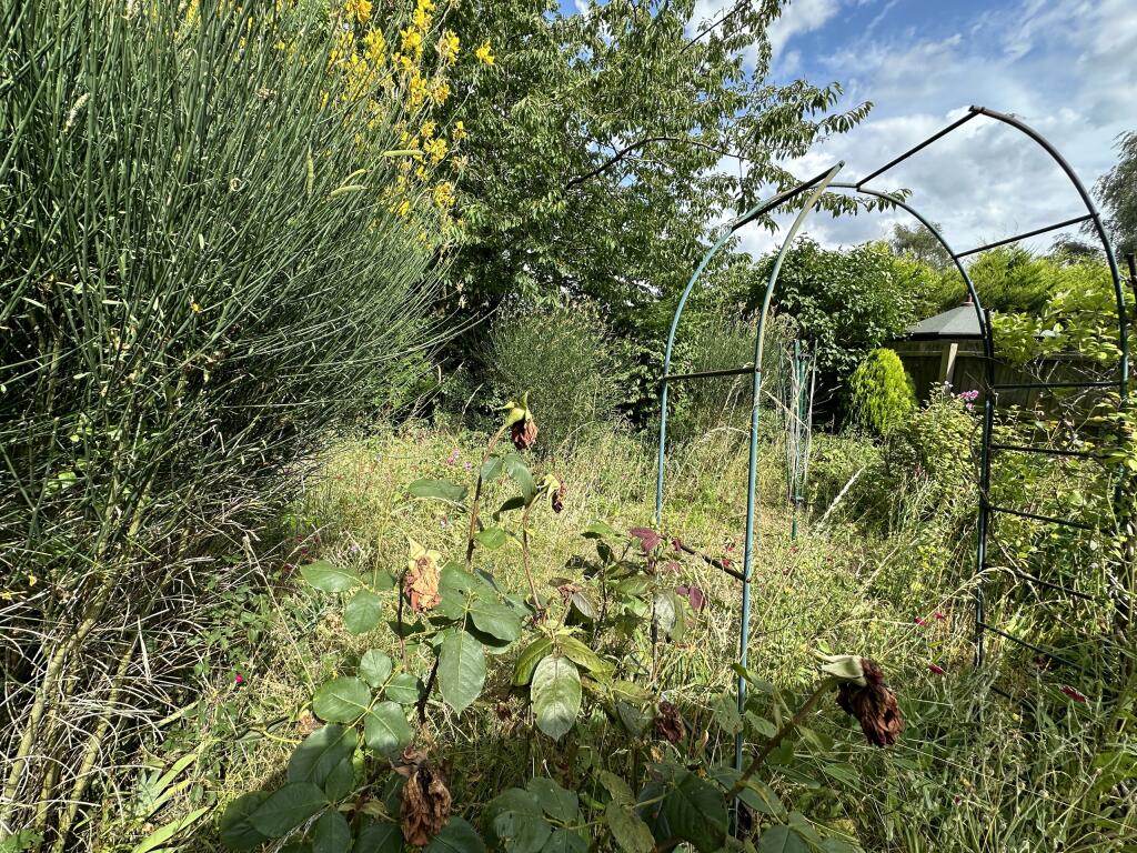 Garden 1.JPG