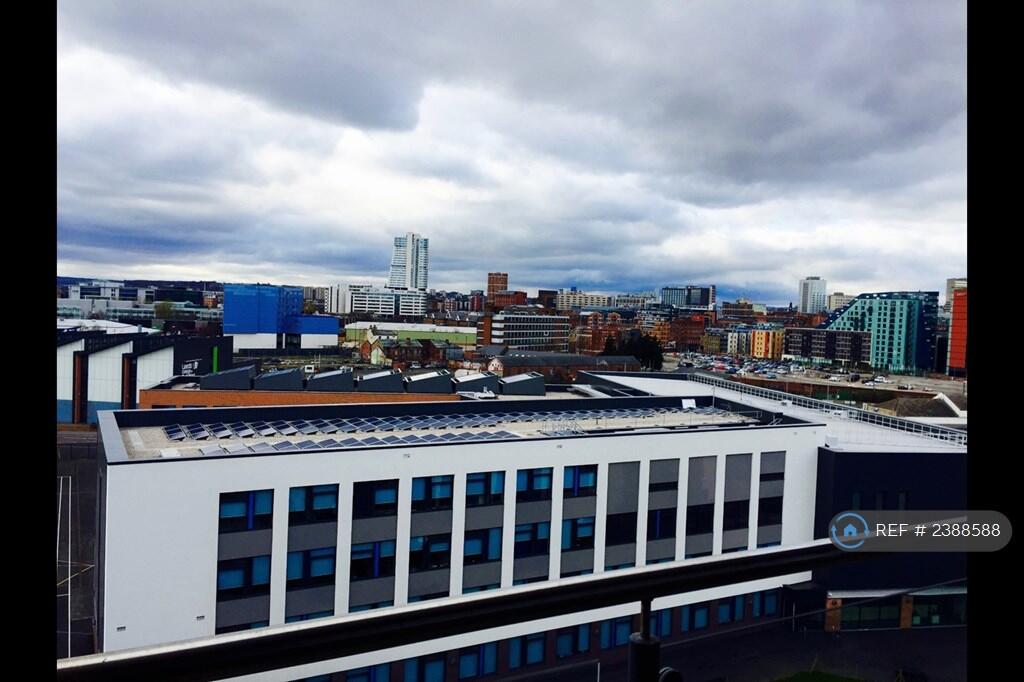 Views From The Balcony