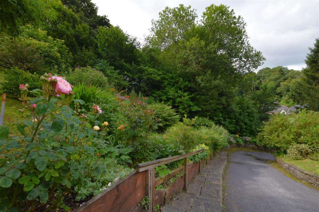 DSC_0355.JPG