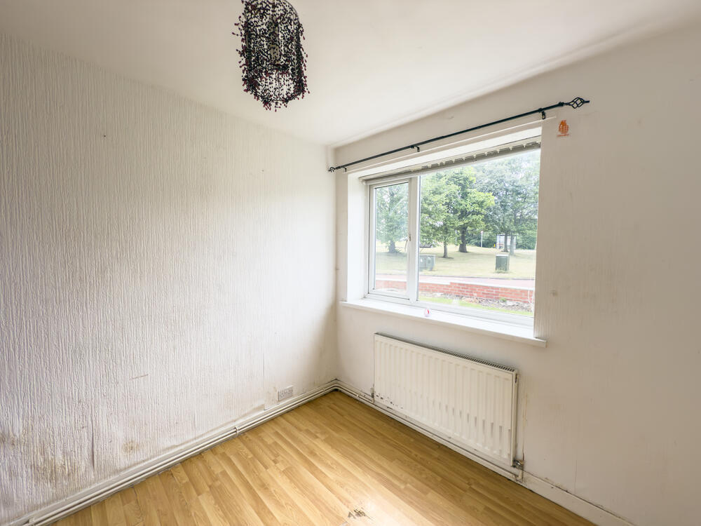 IMG 1129 T202507091809.jpg