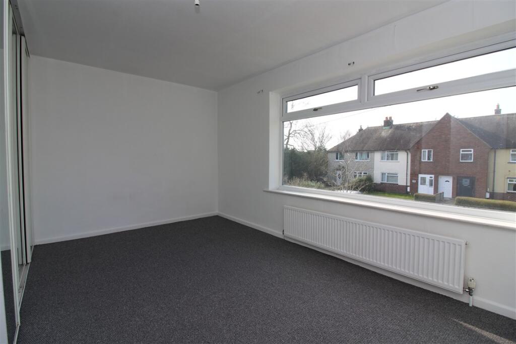 IMG 4770  Medium  T202503141450.jpg