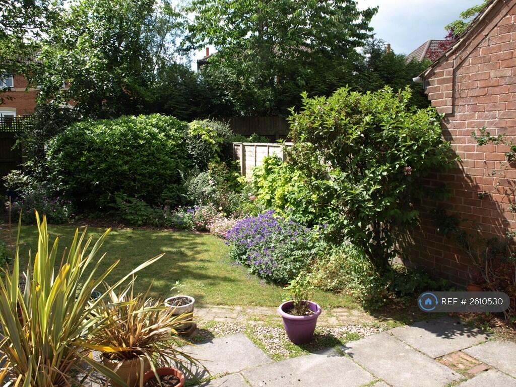 Patio 2