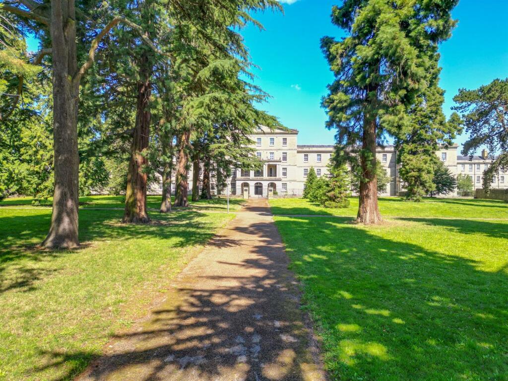 Tree Lined Original Entrance.jpg