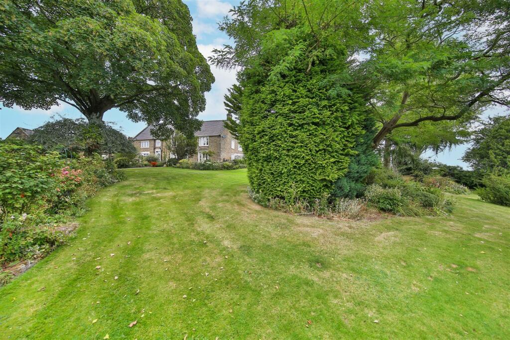Garden13.jpg