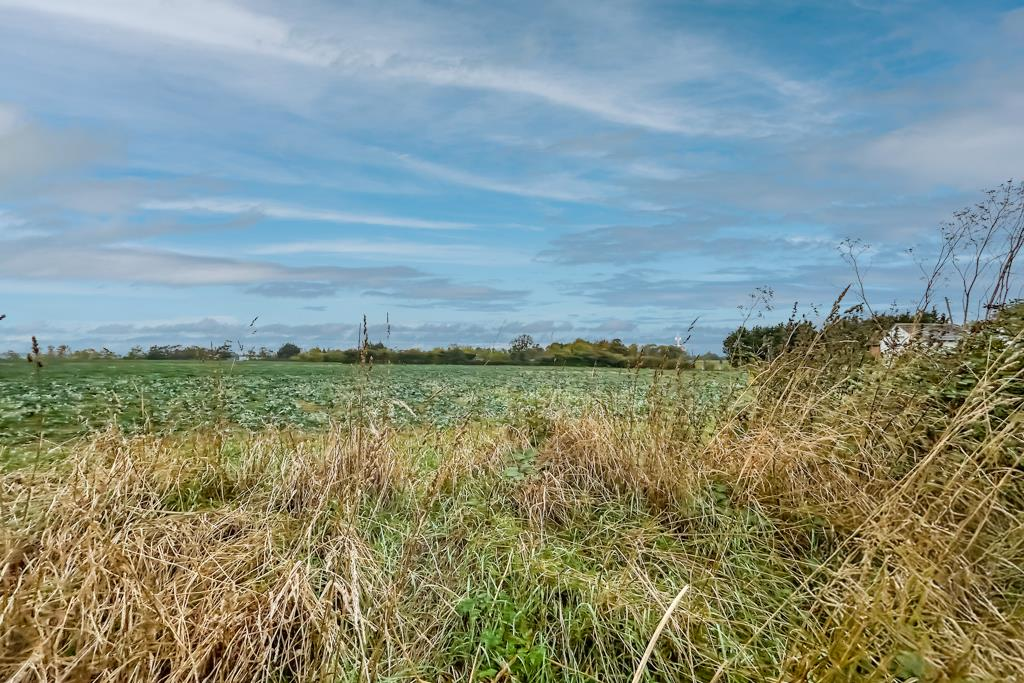 Fields