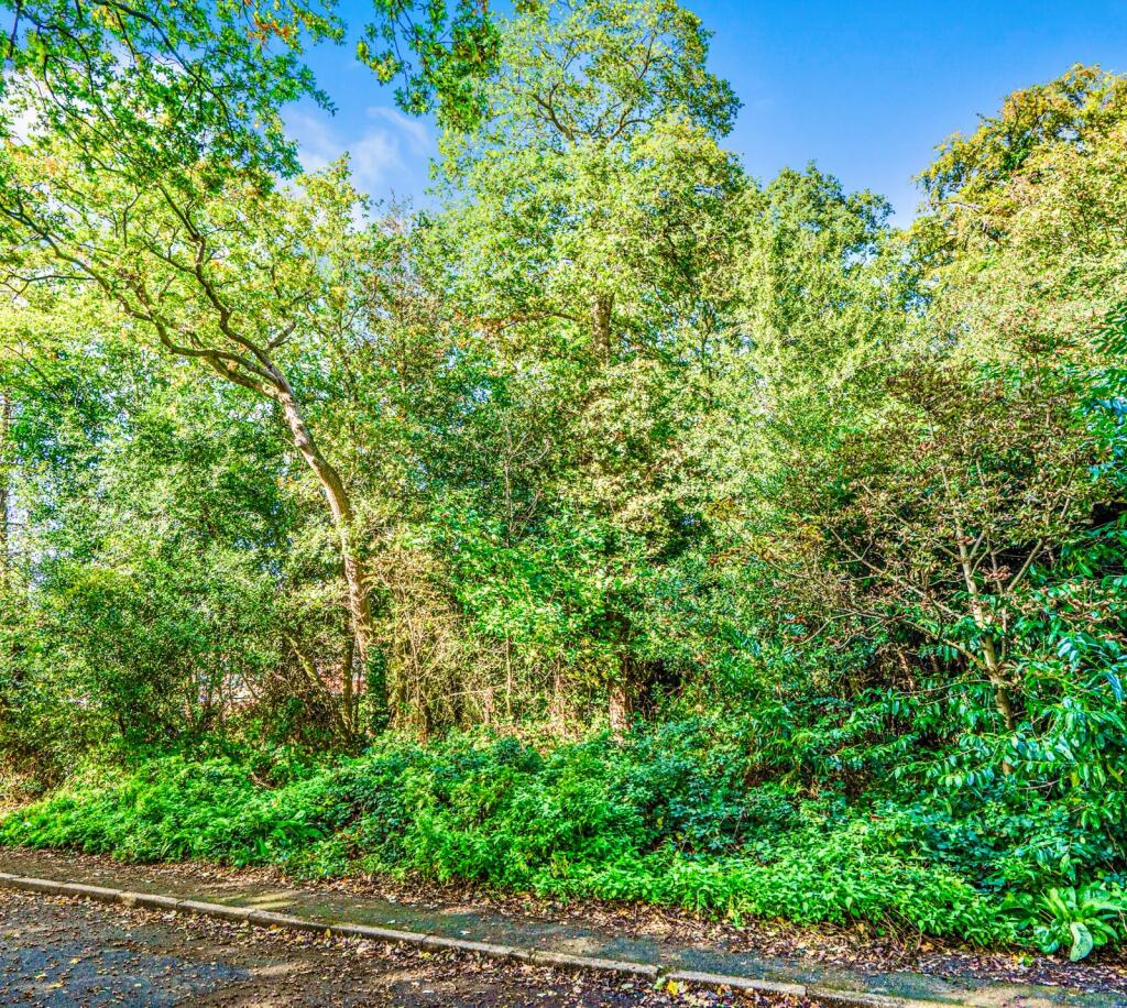 PHOTO-2025-10-05-12-12-56  1  T202511201452.jpg