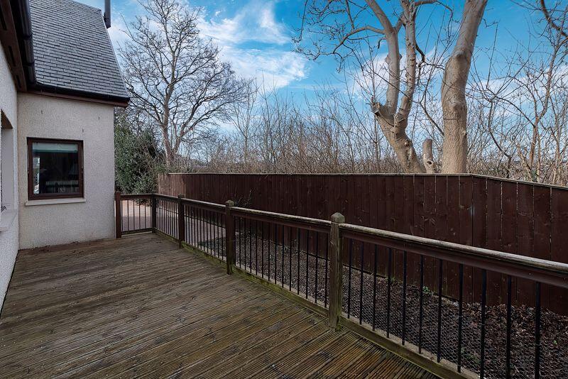 Back Garden