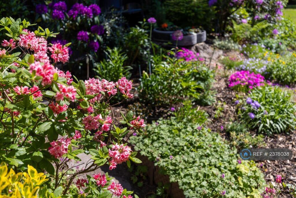 Great Floral Borders To Enrich Your View