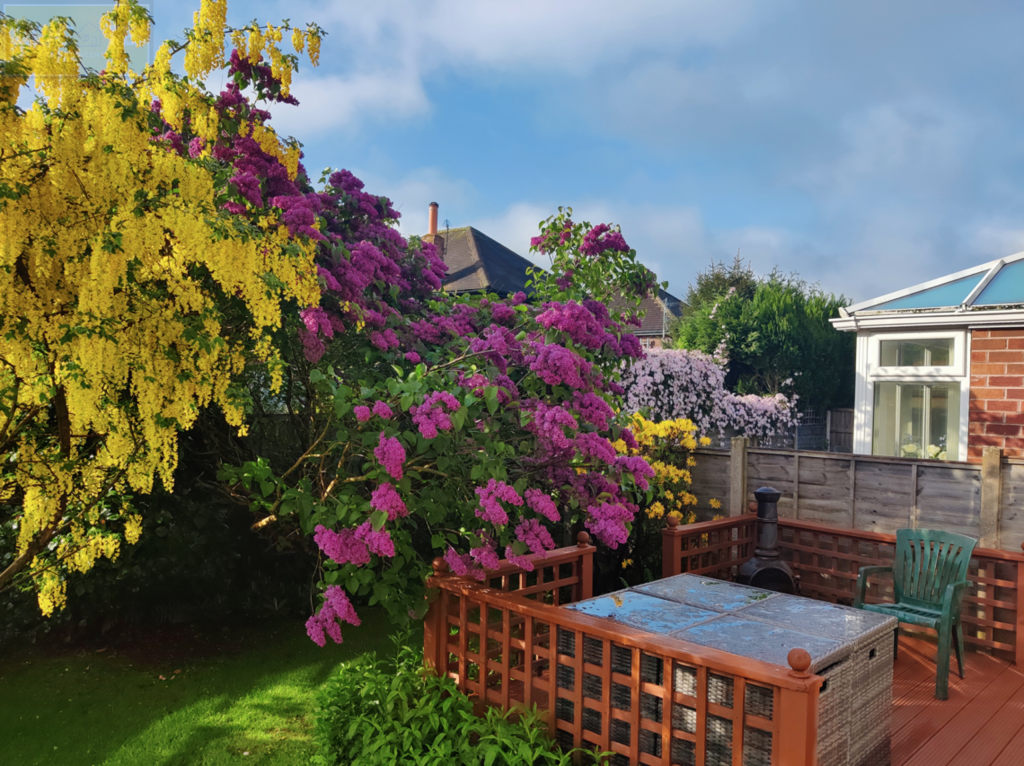 Screen Shot 2025-03-28 at 15.45.01