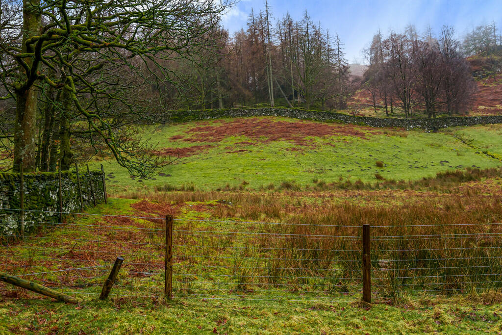 View from Garden