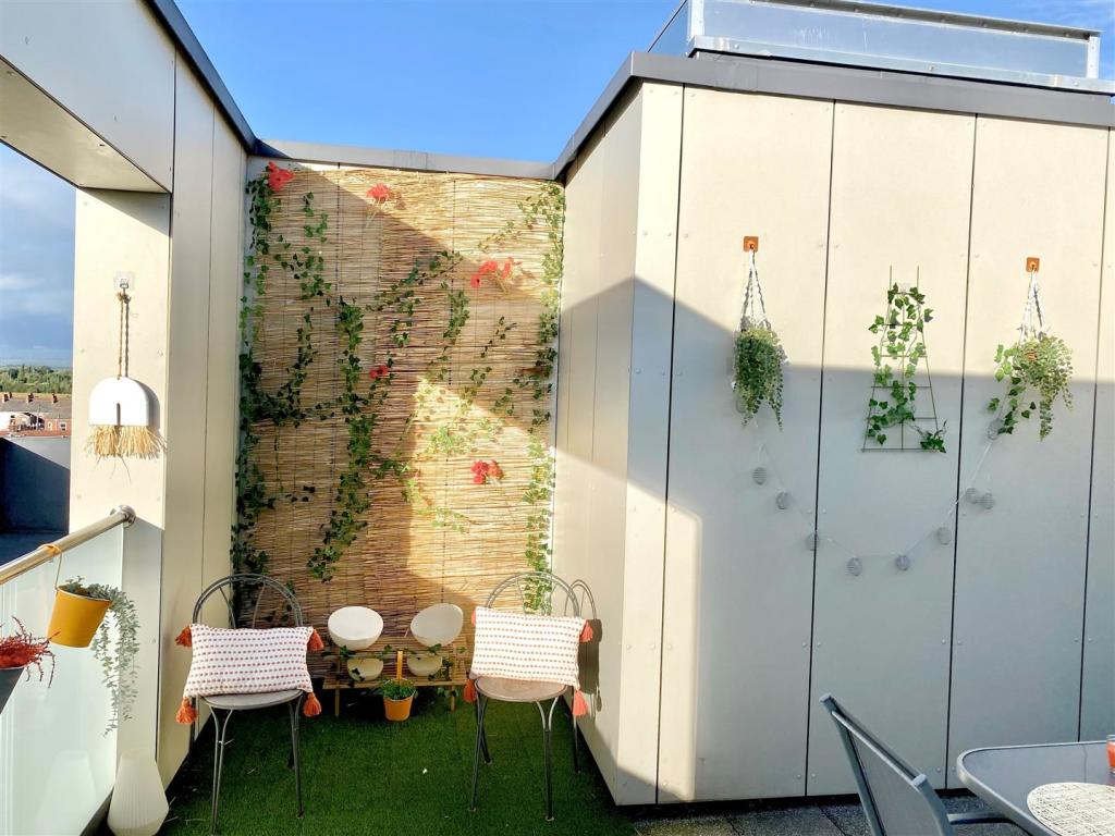 Roof Terrace 2.jpg