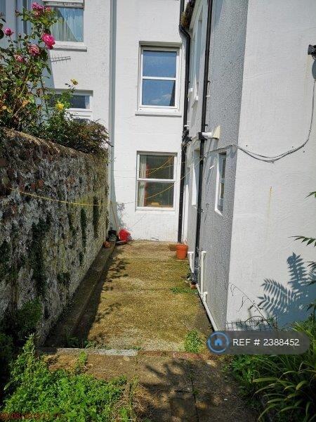 Back Garden