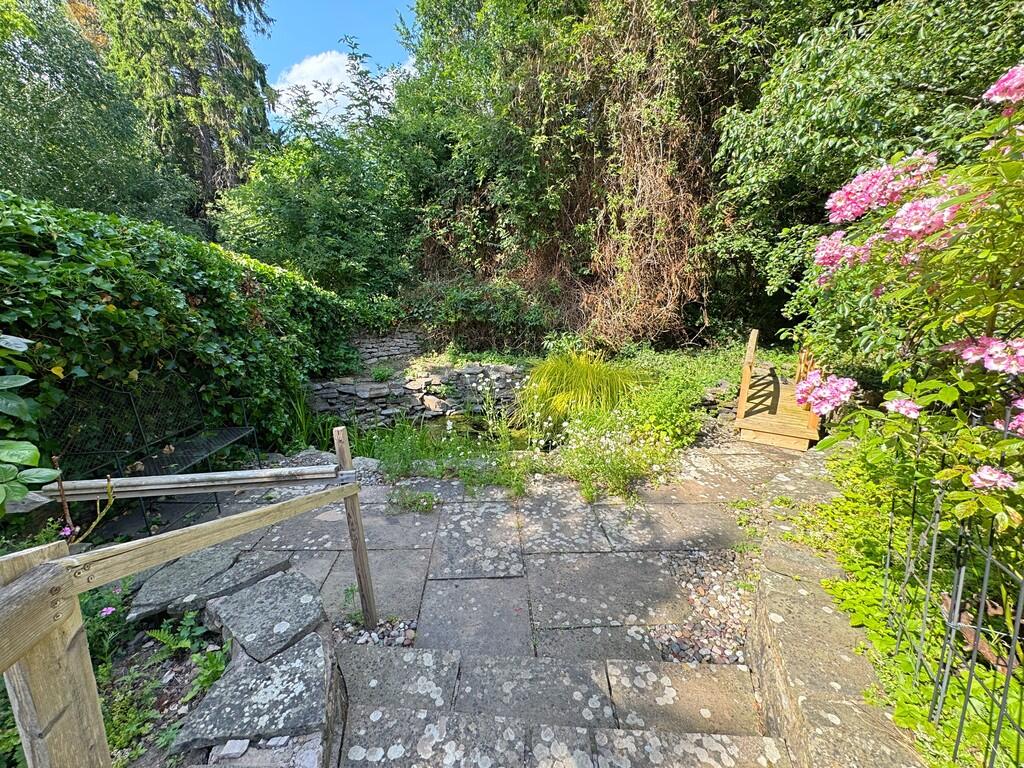 Garden (4)