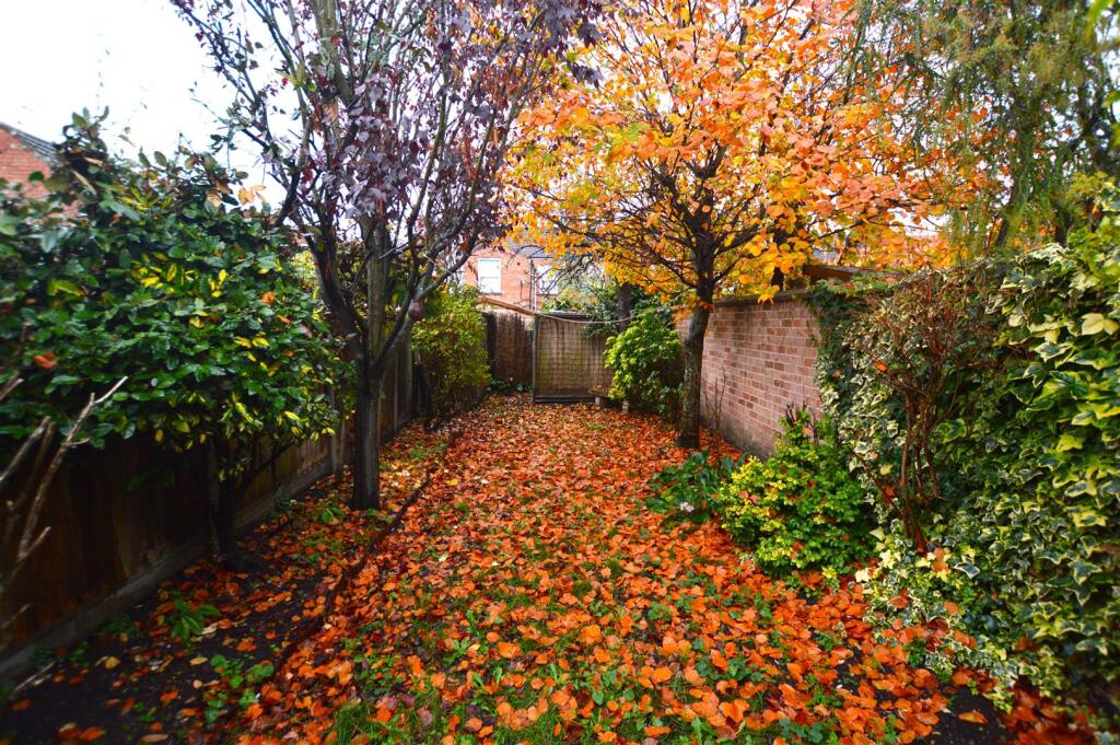 DSC_1251.JPG