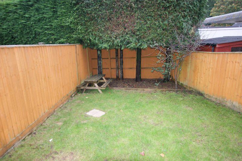 Back garden
