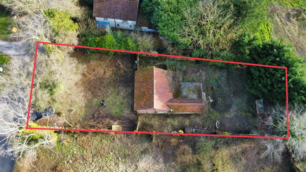 Cookroad2 T202503241538.jpg