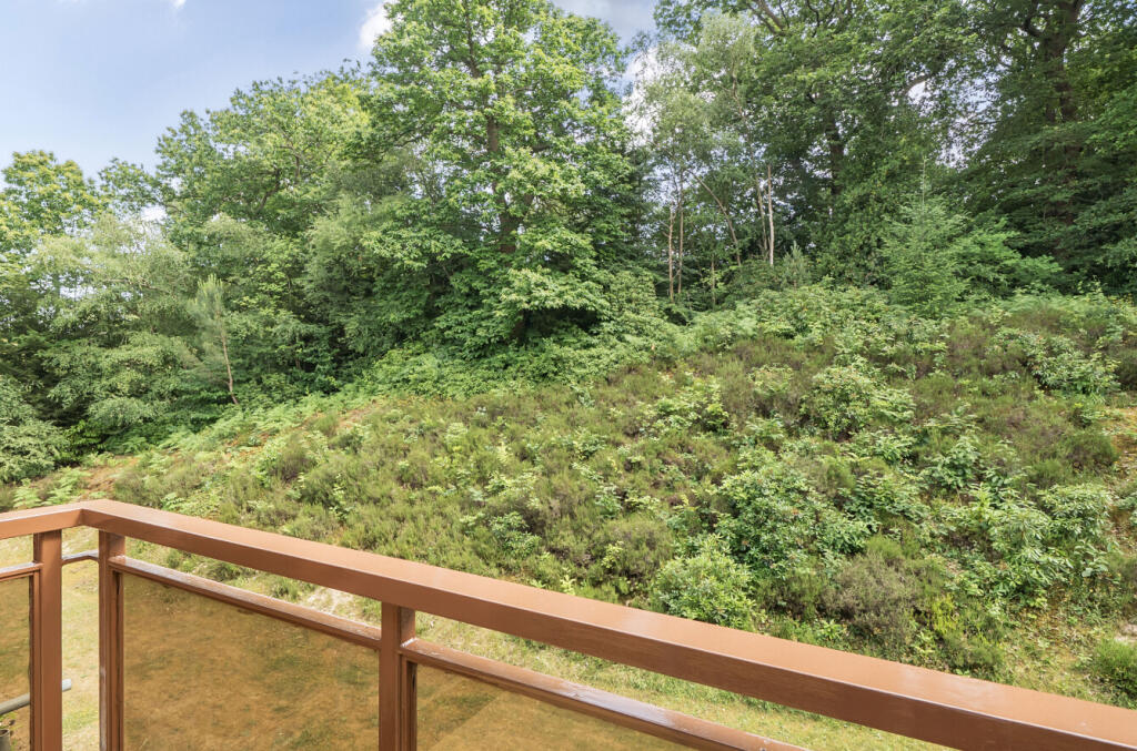 1316326-4-685c0be...