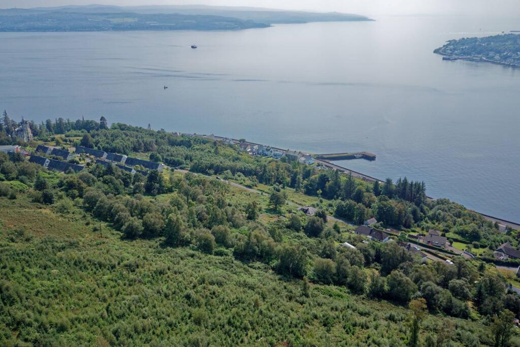 MFL3240997_710.jpg