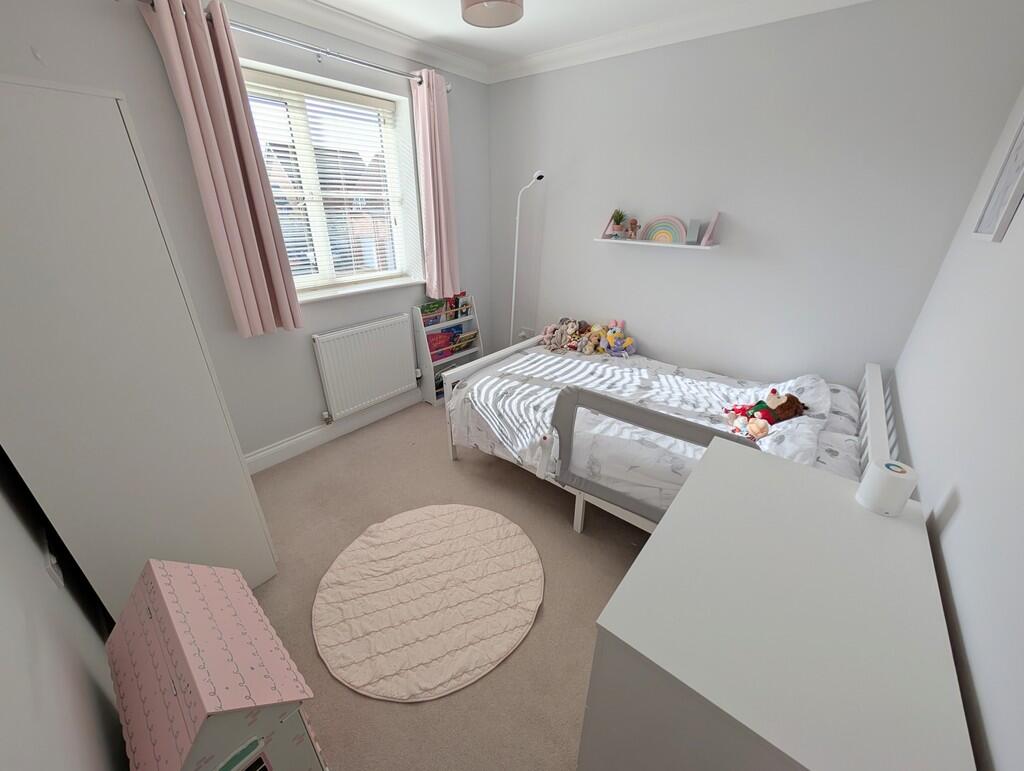 PXL_20241016_1010...