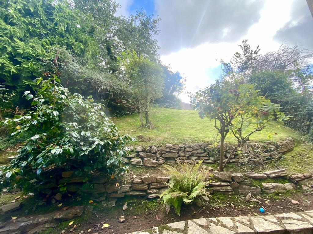 Communal Garden