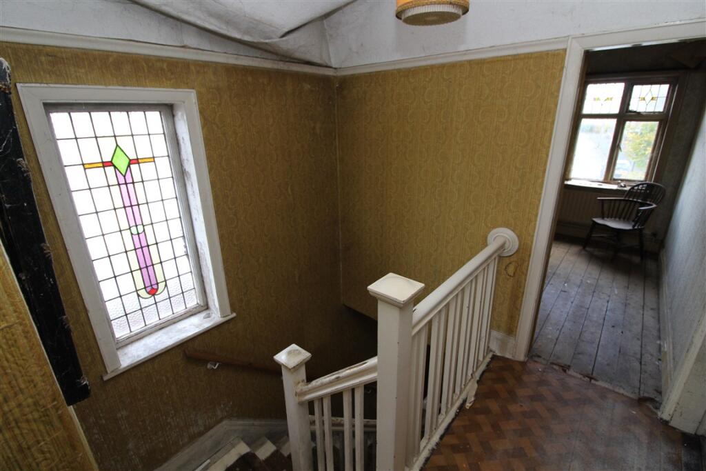 IMG 7164  Medium  T202510301105.jpg