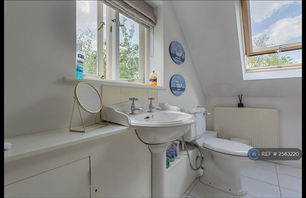 Bath / Shower / Toilet Area