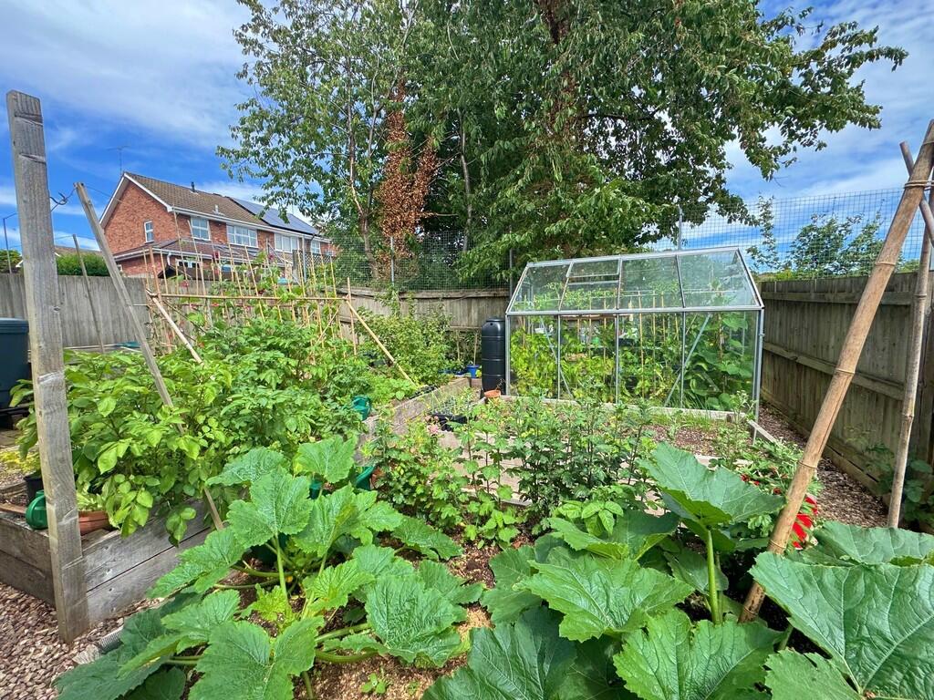 Greenhouse and Ra...