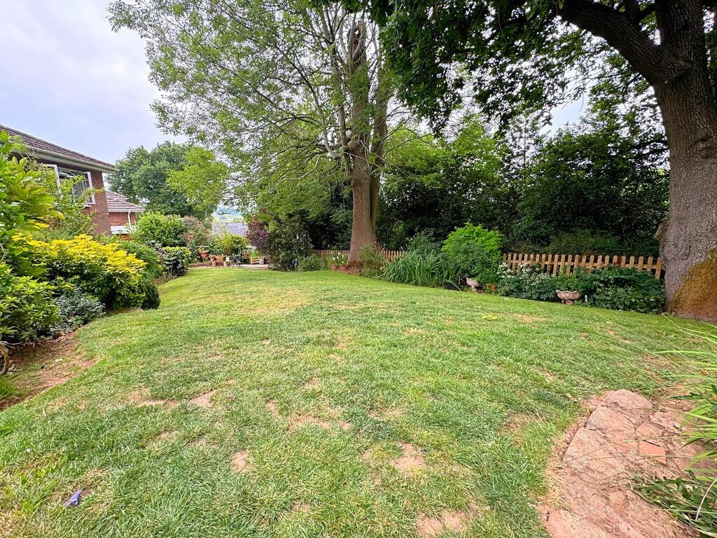 Garden (7)
