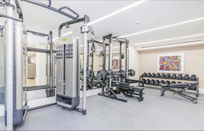 Gym.jpg