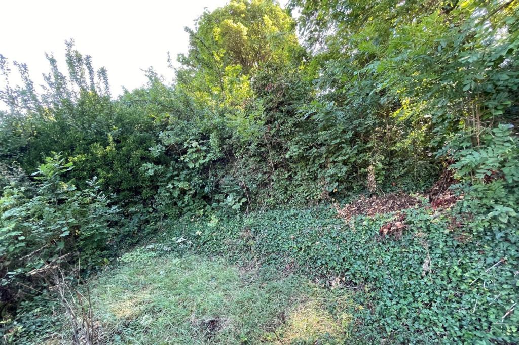 8- Garden