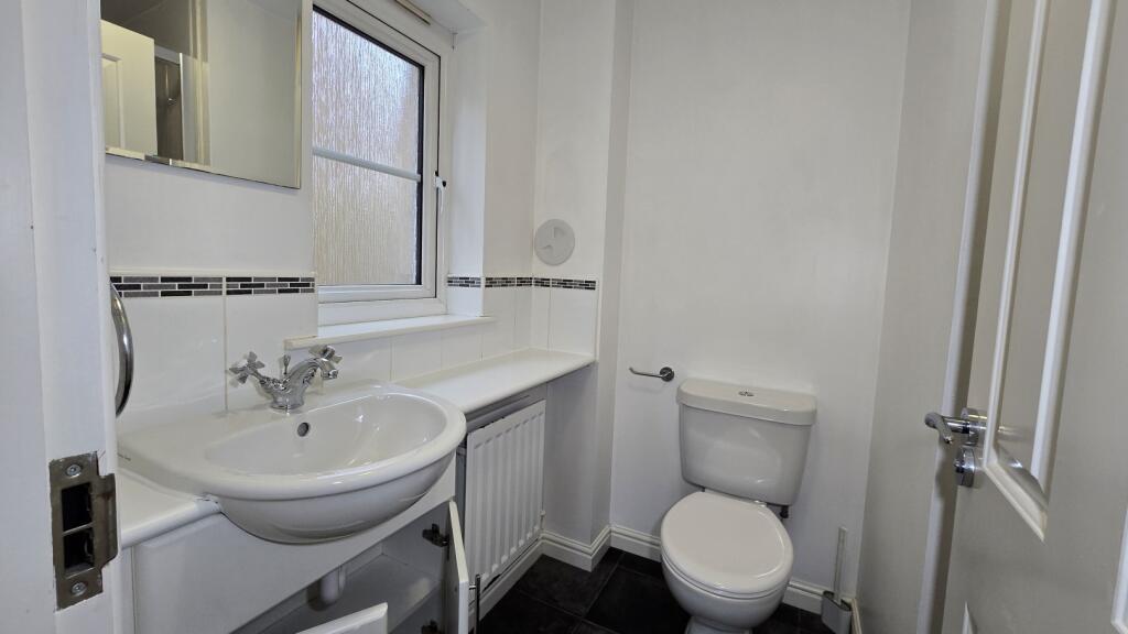 IMAGE 13