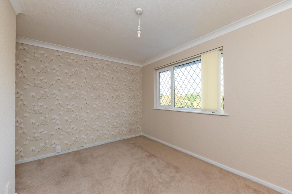 30 Sanderling (2 of 15).jpg