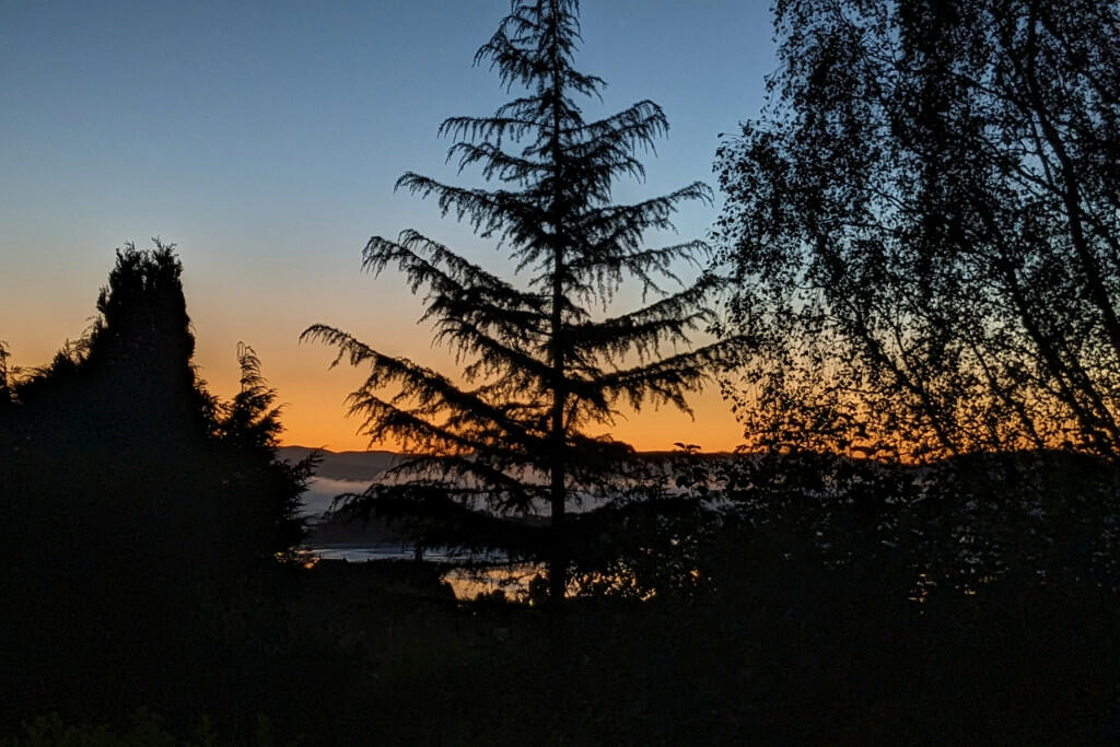 Night Views