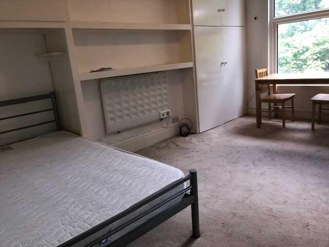 Main Picture