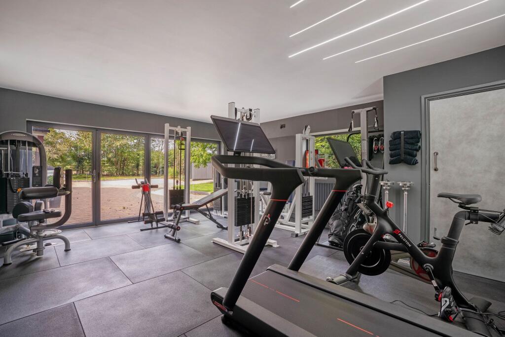 Gymnasium/Movie Room