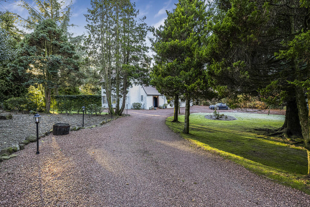 135-print-Orotava...