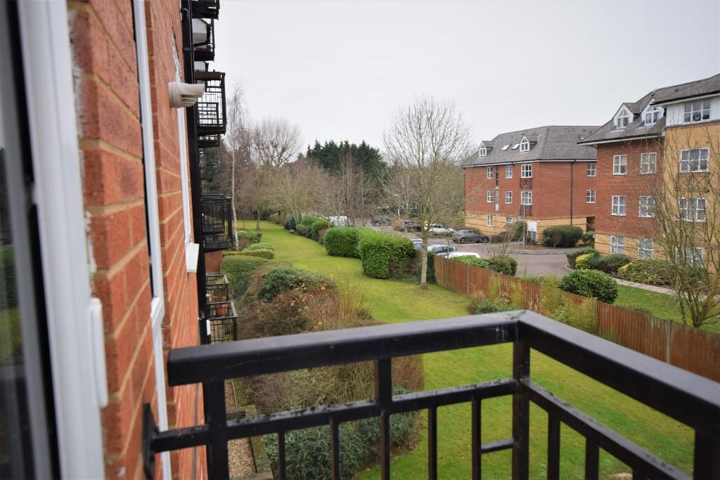 Communal Gardens