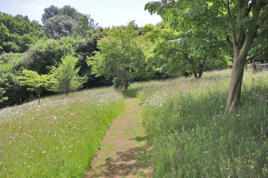 Wild Flower Garden