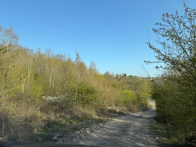 Pic 4.jpg