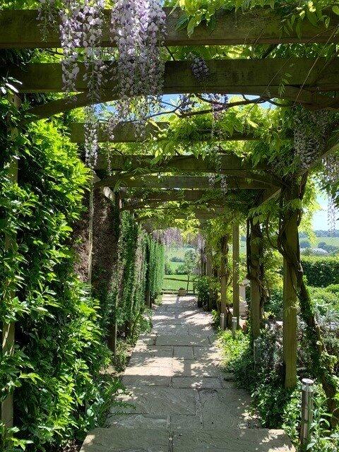 Wisteria Walk