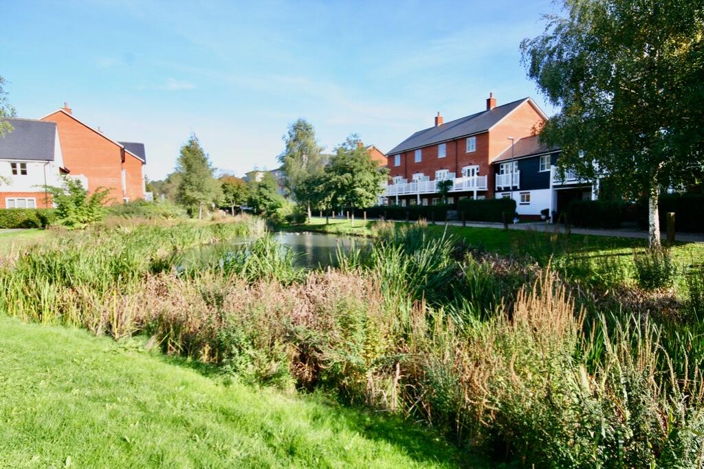 Pond and green 