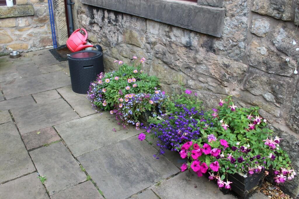 Rear Yard