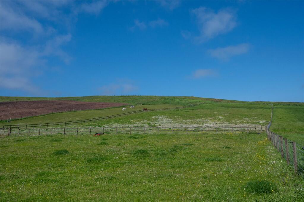 Fields