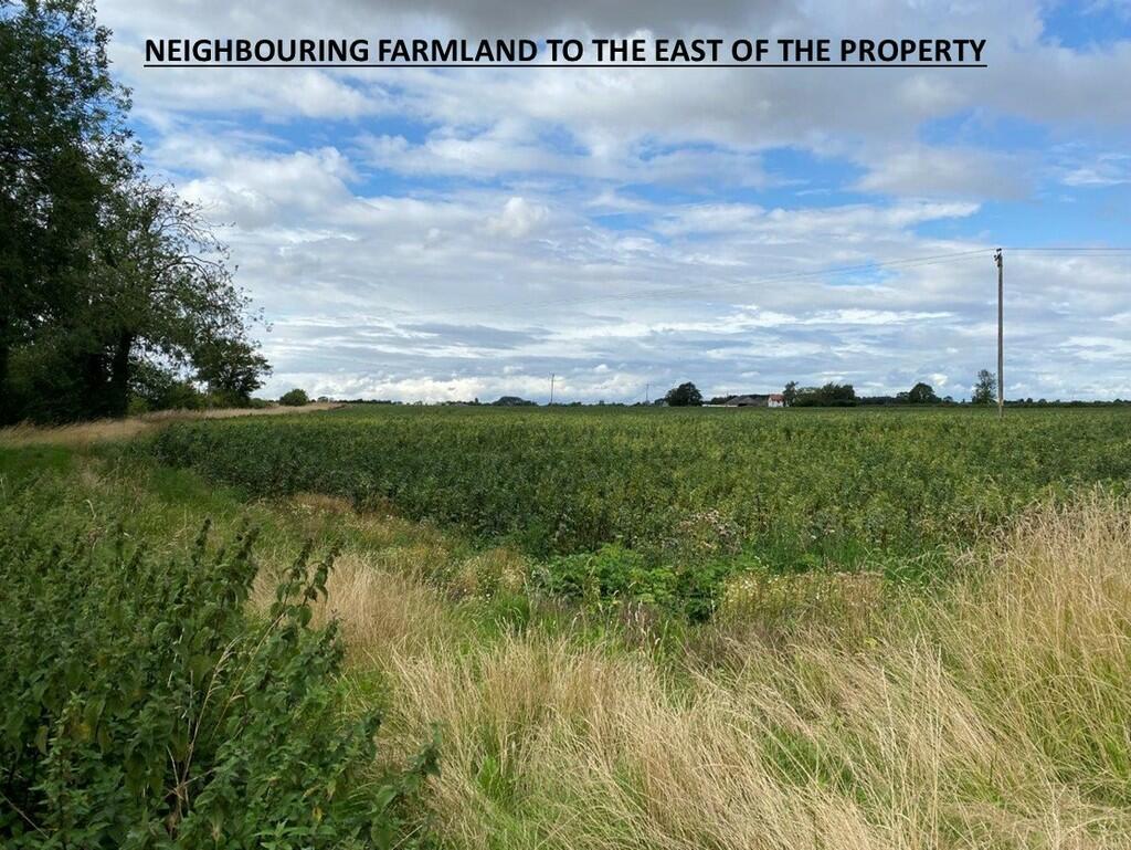 Neighbouring Land