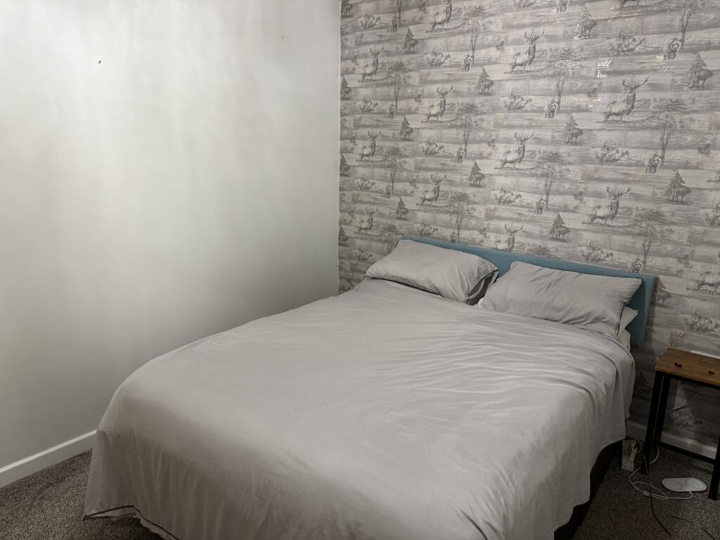 IMG 1507 T202510021414.jpeg