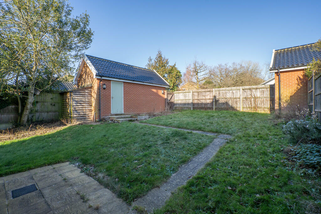 Back garden 