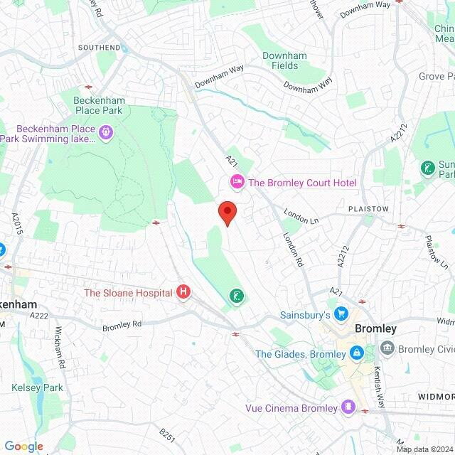 Google Maps Image